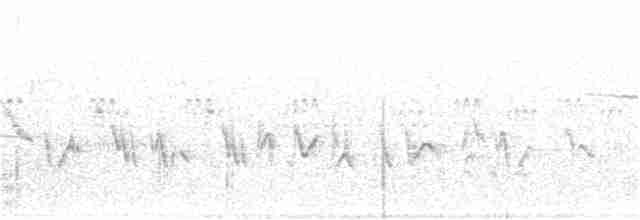Chihuahuan Meadowlark - ML192426571