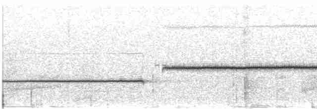 Schlankschnabel-Samenfresser - ML192481161