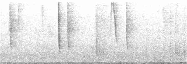 Гирола (підвид viridissima/toddi) - ML192485011