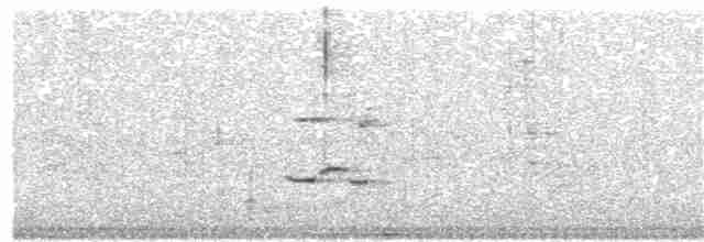 Пестрогрудый тираннчик - ML192490171