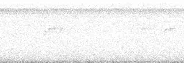 Черноголовый крапивник (nigricapillus/connectens) - ML192525