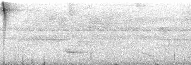 Ерміт-серподзьоб темнохвостий - ML192564