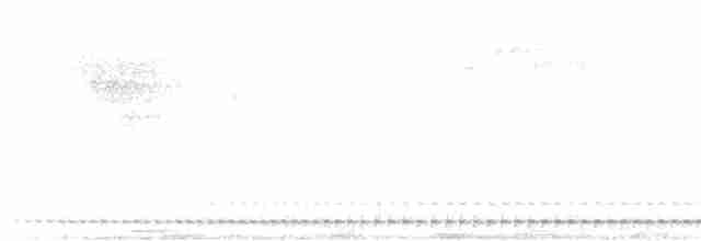 Tropfenkreischeule - ML192715371