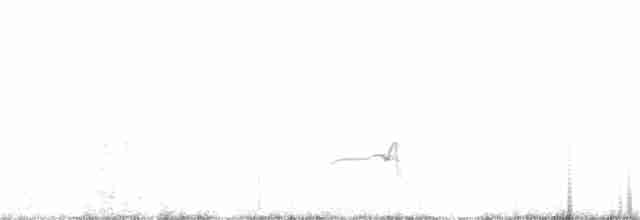 Elegant Crested-Tinamou - ML192716171