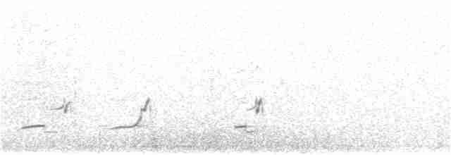 Elegant Crested-Tinamou - ML192718011