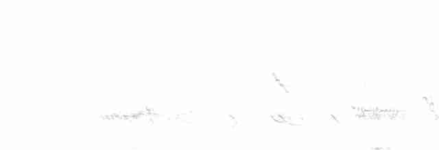 Brushland Tinamou - ML192755661