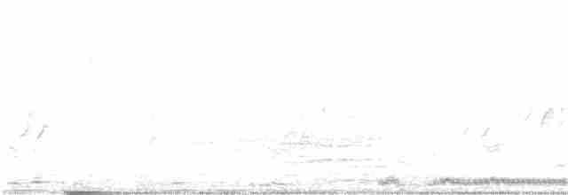 珠頸斑鳩 - ML192771011