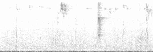 strakapoud osikový (ssp. gairdnerii/turati) - ML192803511