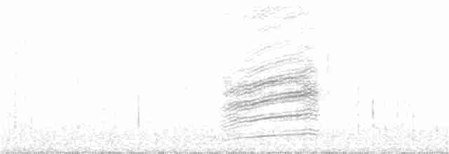 Fleckengrundammer [oregonus-Gruppe] - ML192804621