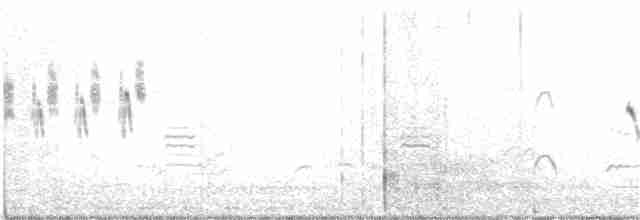 australlerke (javanica gr.) - ML192843211