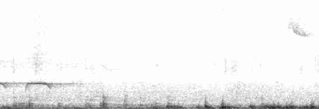 Weißbinden-Ameisenvogel - ML19285
