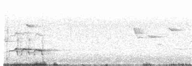 Speckled Warbler - ML192879981