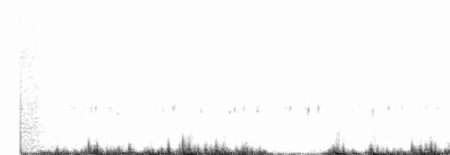 Мышиный чертополошник - ML192919811