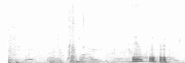 Grallaire de Ridgely - ML192993801