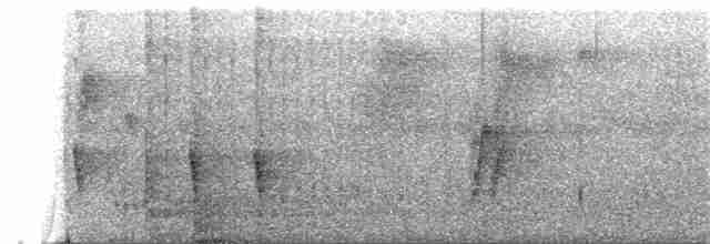langnebbedderkoppjeger - ML193031781