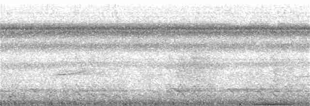 Гребнеклювый гокко - ML193057311