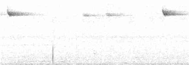 Снежнобровая мухоловка - ML193057671
