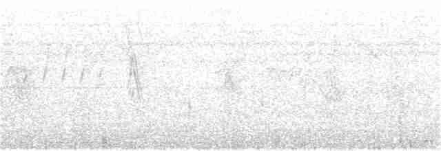 Карликовая ласточка - ML193065371
