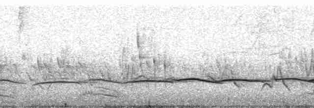 Brushland Tinamou - ML193108