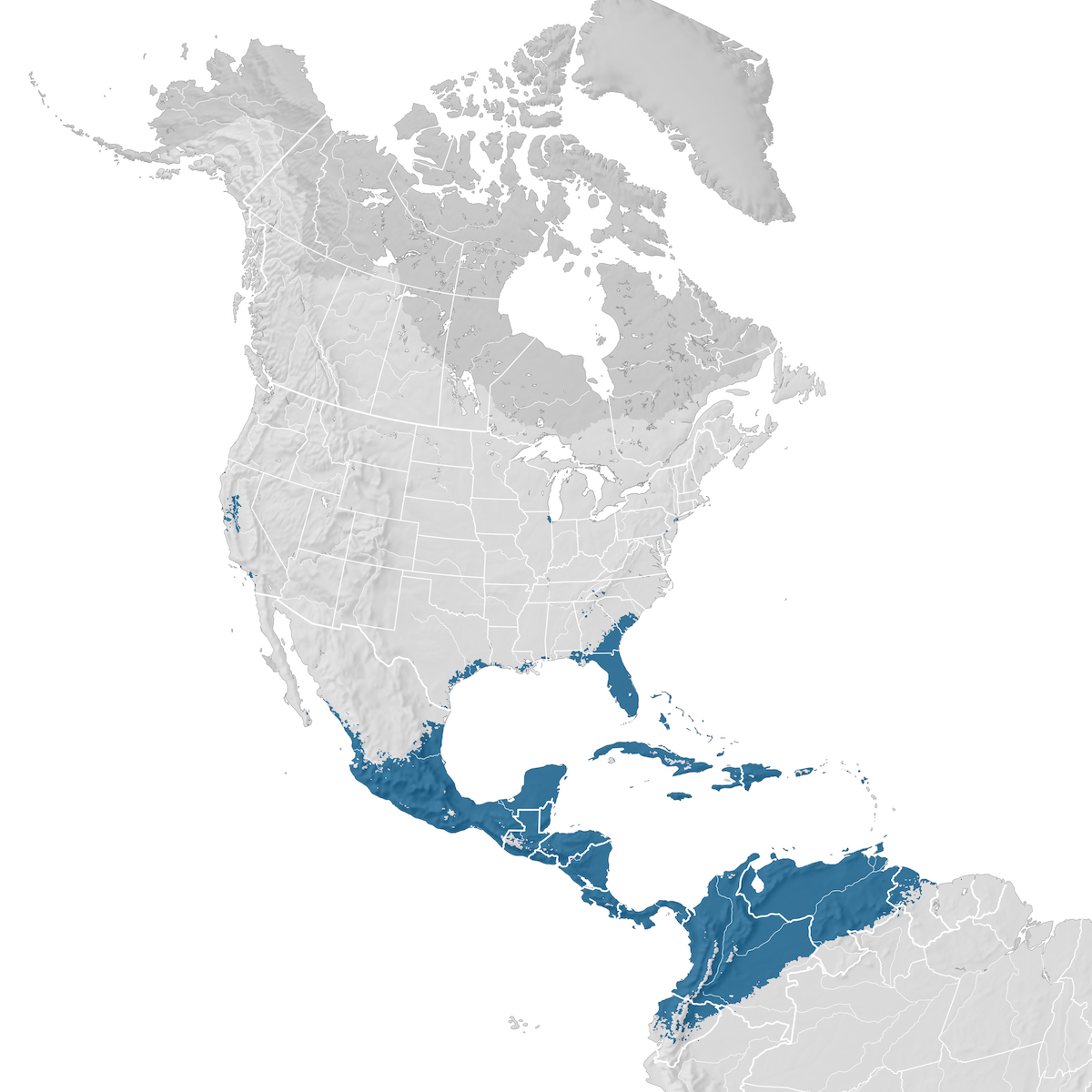 Northern Waterthrush - Range Map: Non-breeding - EBird Status And Trends