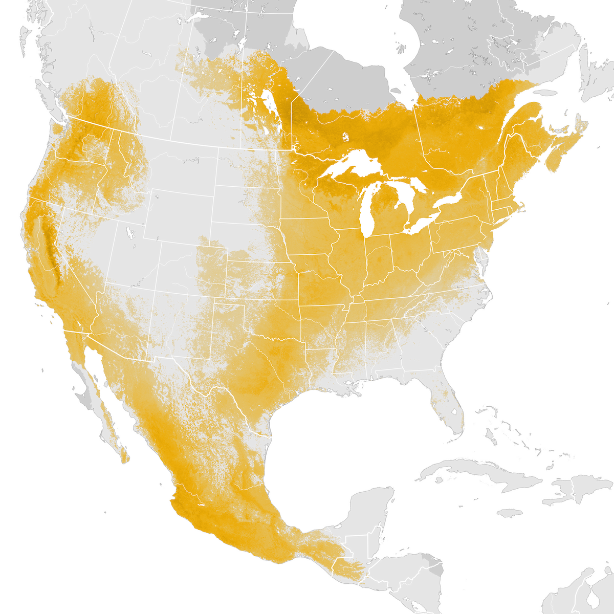 Nashville Warbler - Abundance map: Pre-breeding migration - eBird ...