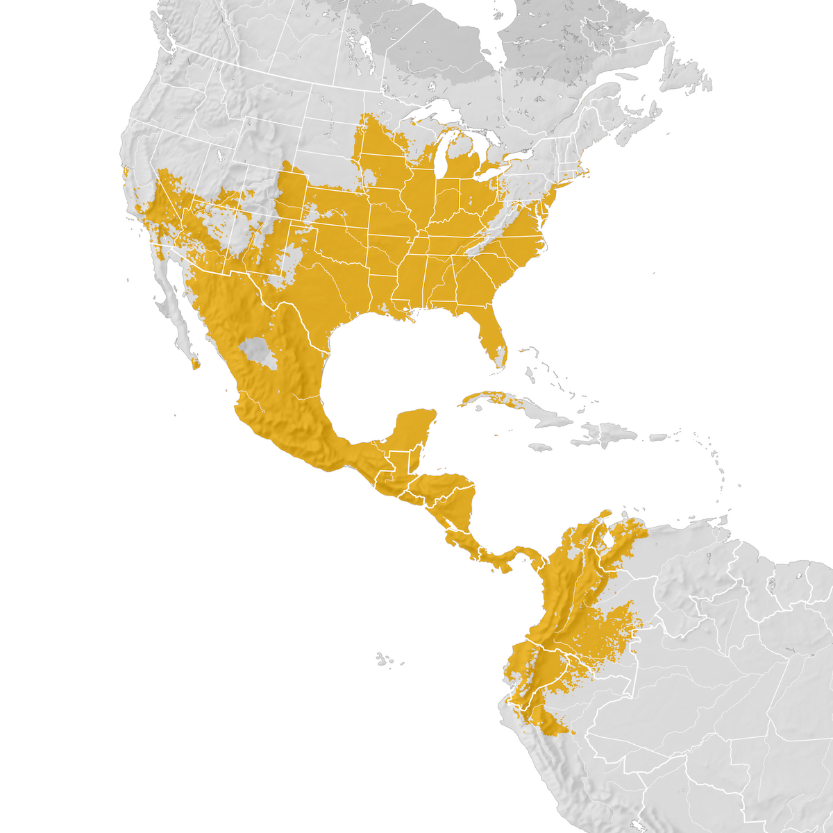 Summer Tanager - Range Map: Pre-breeding Migration - EBird Status And ...