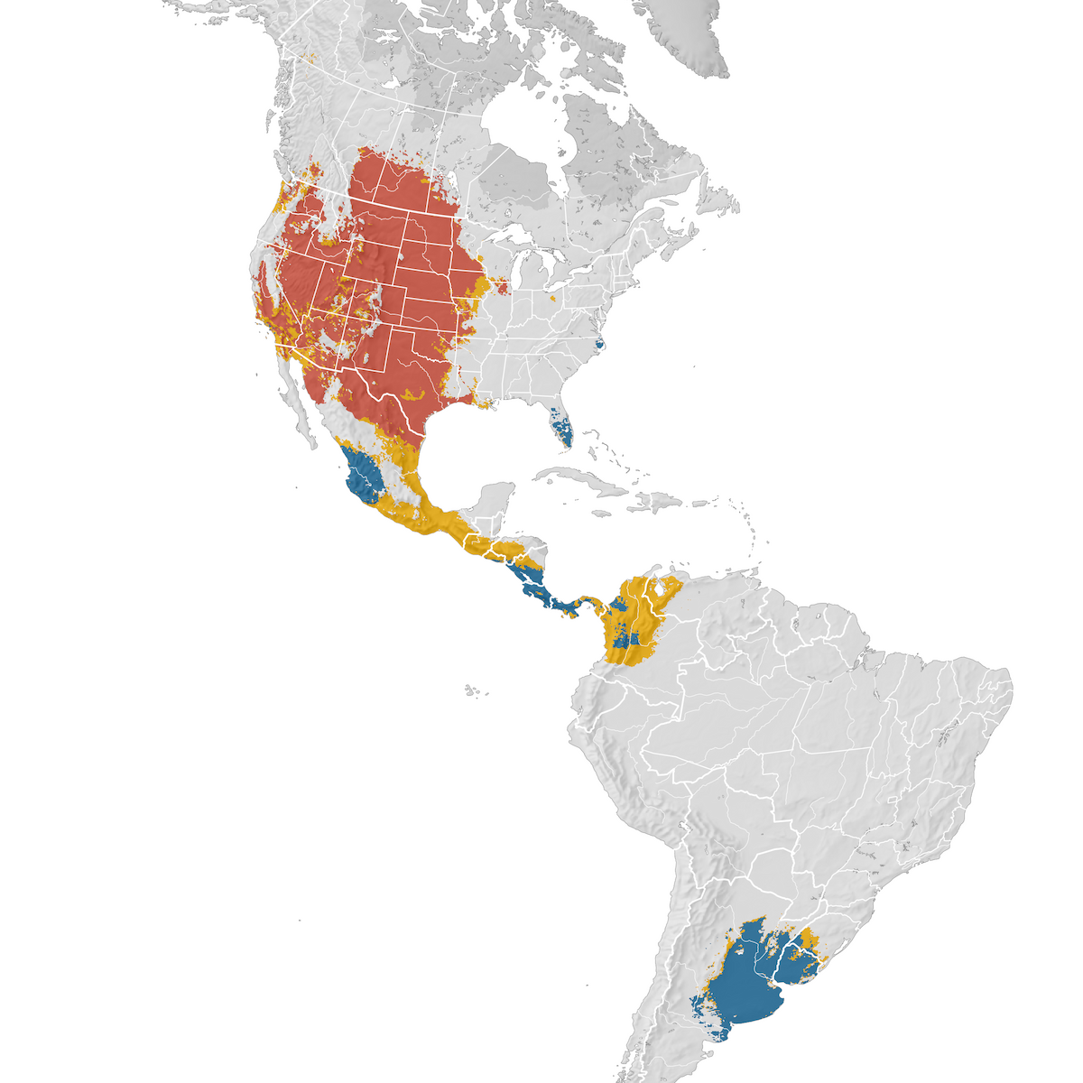 Swainson's Hawk - Range map - eBird Status and Trends