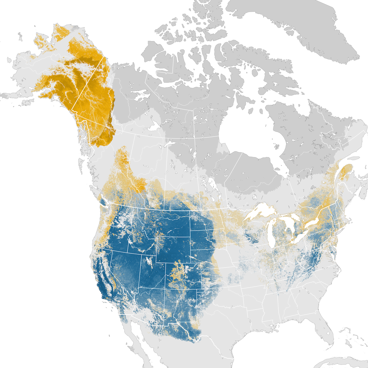 Golden Eagle Abundance map eBird Status and Trends
