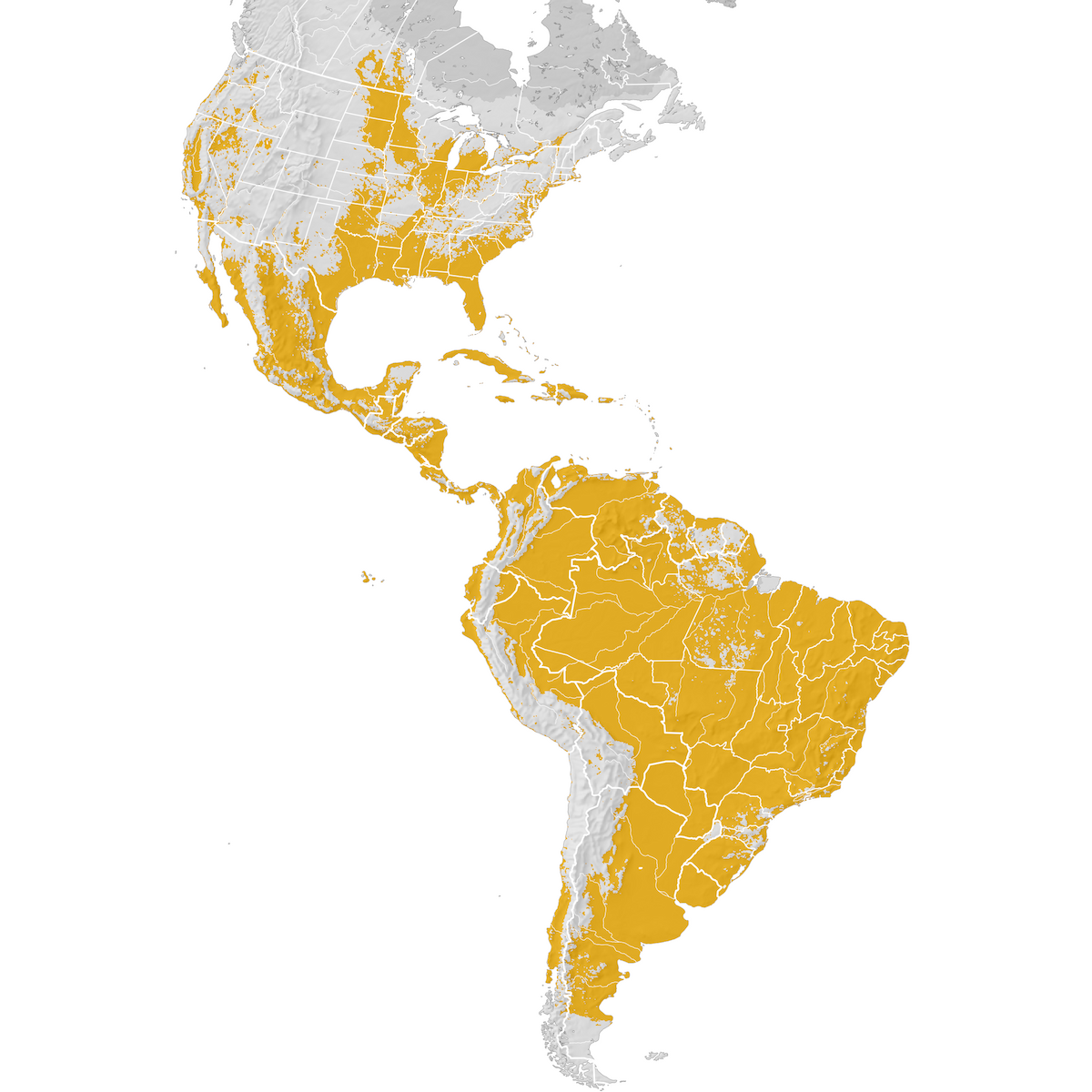 Great Egret - Range map: Post-breeding migration - eBird Status and Trends