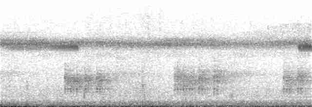 Stripe-breasted Wren - ML193245561