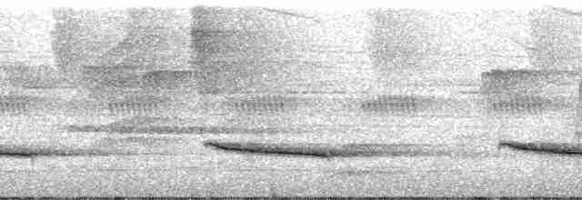 Slaty-capped Shrike-Vireo (Slaty-capped) - ML193246