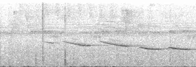 Riverbank Warbler (Northern) - ML193255