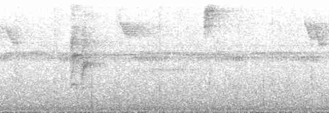 Grünschopf-Stirnvogel - ML193256