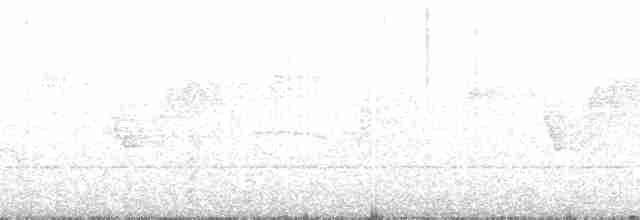 Gray Fantail (keasti) - ML193260