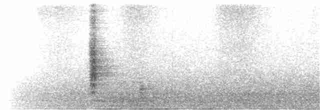 Tangara à croupion rouge (passerinii) - ML193264681