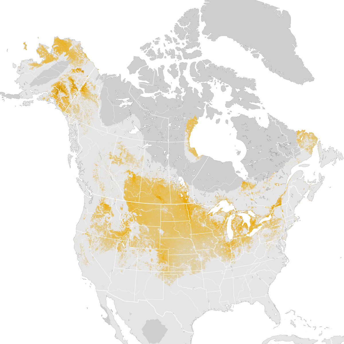 Rough-legged Hawk - Abundance map: Pre-breeding migration - eBird ...