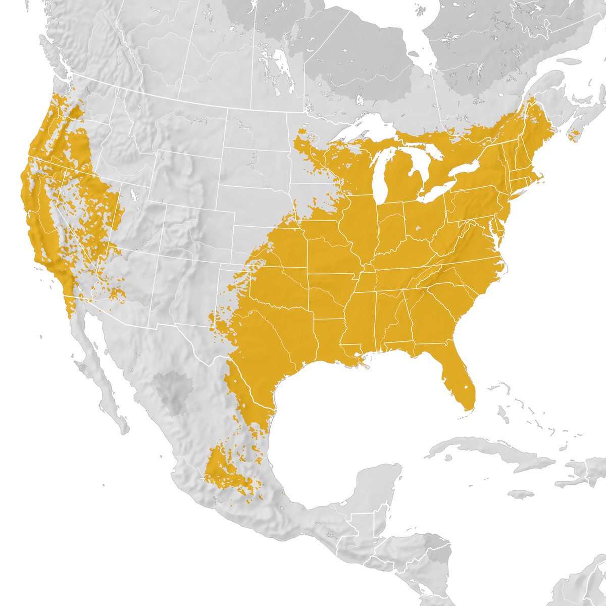 Red-shouldered Hawk - Range map: Post-breeding migration - eBird Status ...