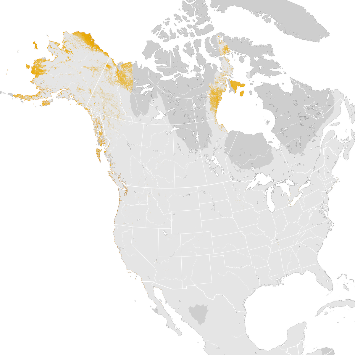 Pacific Loon Abundance map Postbreeding migration eBird Status