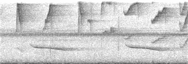 Ерміт-серподзьоб темнохвостий - ML193290891