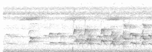White-fronted Nunbird - ML193405701