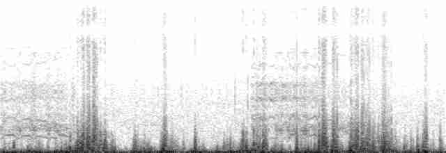 chaluha antarktická - ML193444061