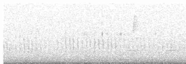 orel bělohlavý - ML193445191