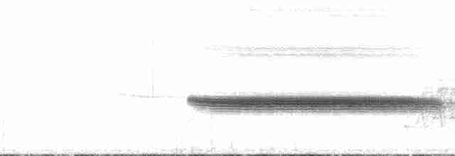 Разноголосый дрозд - ML193557