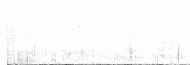 Белокрылый крапивник - ML193597411