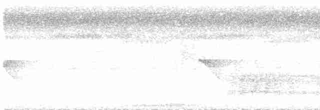 Black-crowned Antpitta - ML193605071