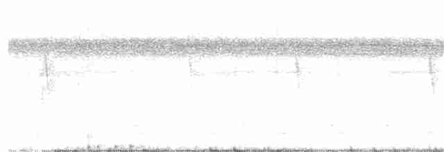 Южноамериканский лапчатоног - ML193621751