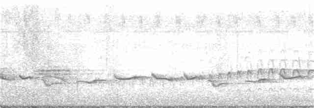 Oriole Warbler - ML193625131