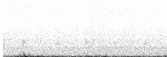 Brown-crested Flycatcher - ML193681601
