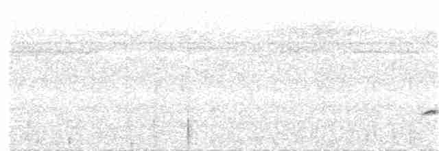 Tüpfelkronen-Ameisenvogel - ML193800811
