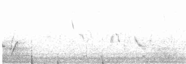 Eastern Orphean Warbler - ML193814831